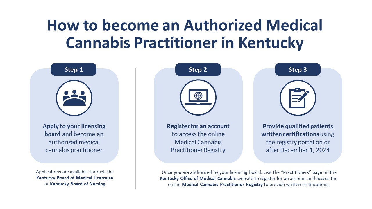 2024-07-16 Authorized Practitioners Process Graphic.png